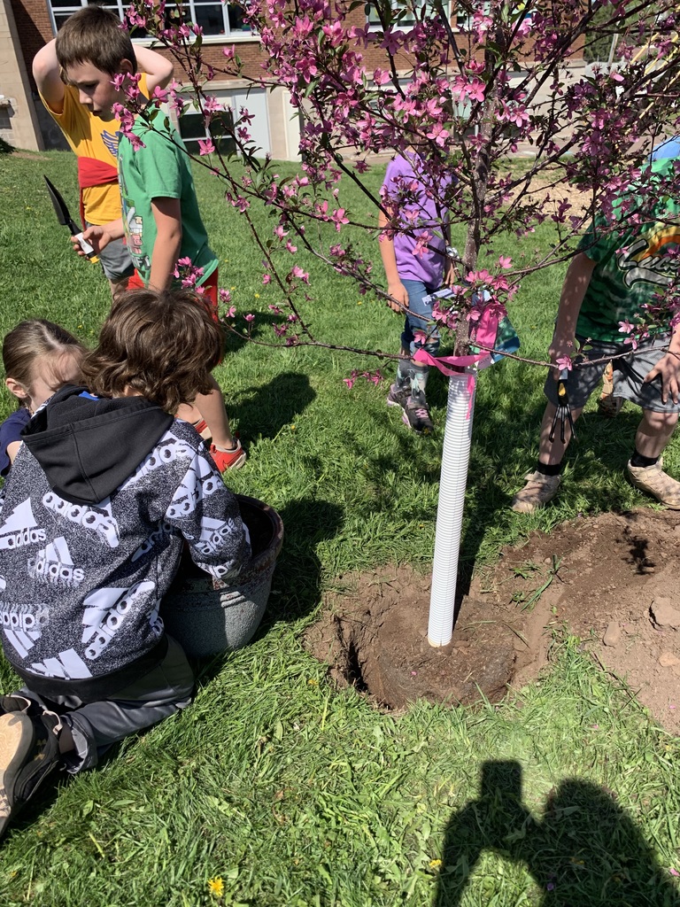 students planting a tree