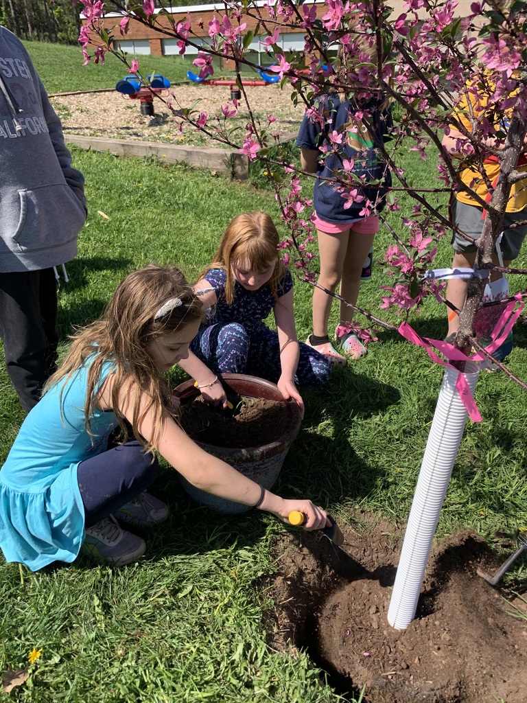 students planting a tree
