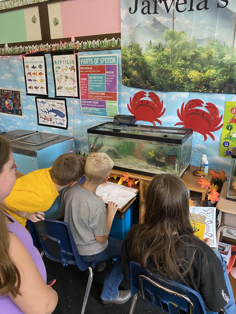 students looking at fish in tank